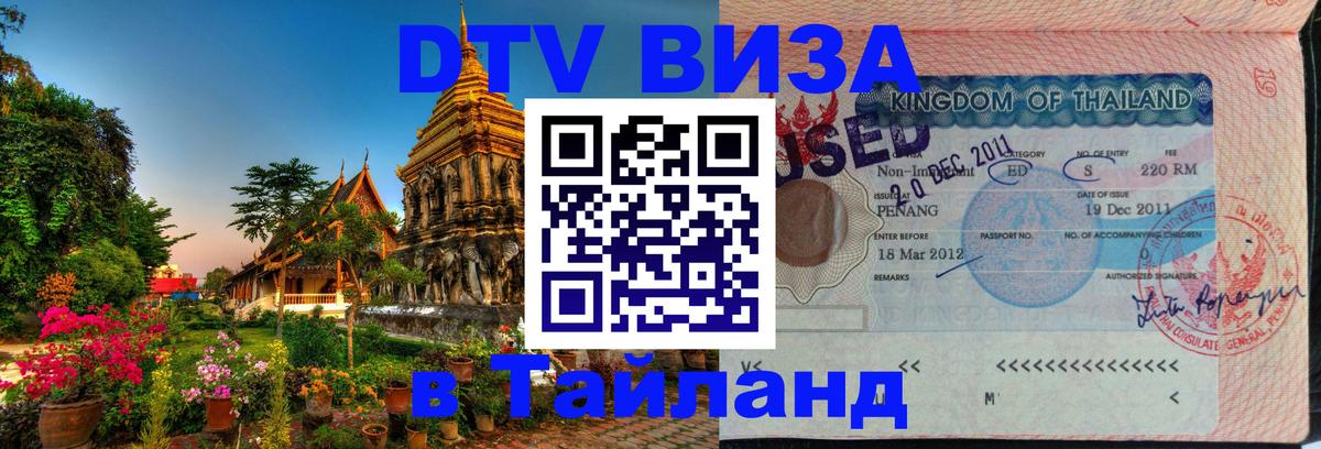 Сколько стоит DTV виза — актуальные цены, оформление даже без документов - Бердск 